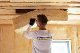 Best Soundproof Insulation  in Palmhurst, TX